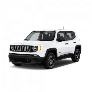 Renegade 1 (2014-2019)